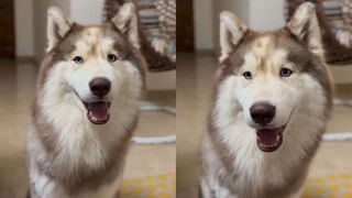 Viral Video: వార్నీ ఎంతకు తెగించారు.. రైలు ప్రయాణం ఇలా కూడా చేస్తారా.?