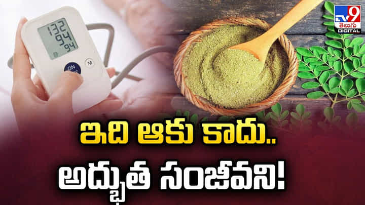 ఇది ఆకు కాదు.. అద్భుత సంజీవని.. 300 పైగా జబ్బులు దీనితో నయం ఇది ఆకు కాదు.. అద్భుత సంజీవని.. 300 పైగా జబ్బులు దీనితో నయం
