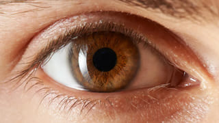 Pregnancy: పుట్టే బిడ్డలు హుషారుగా ఉండాలా.? గర్భిణీలు ఇలా చేయాలి..