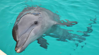 Aadhar: మీరు ఆధార్ కార్డు నుండి ఎంత డబ్బు తీసుకోవచ్చు? దీనికి పూర్తి ప్రక్రియ ఏటంటే..?