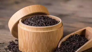 Red Apple vs Green Apple: రెడ్ యాపిల్ vs గ్రీన్ యాపిల్ వీటిల్లో ఏది తింటే మంచిది..