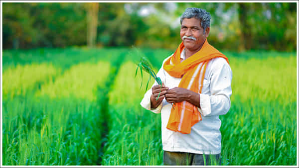 Carbon Credit: భారత్లో మొట్టమొదటిసారిగా రైతులకు కార్బన్ క్రెడిట్.. 8 రాష్ట్రాల రైతులకు అవకాశం