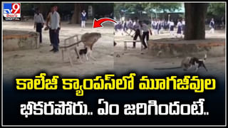 Viral: అత్త చెవిని చికెన్‌ ముక్కలా కొరికేసిన కోడలు.. ఆ రాత్రి ఏం జరిగిందంటే.?