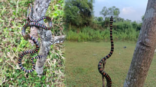 Guntur: బ్యాంక్‌లో భారీ మోసం.. సీఐడీ దర్యాప్తుకు ప్రభుత్వం ఆదేశం..