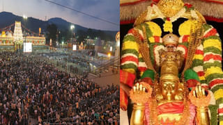 Tirumala: రేపే బ్రహ్మోత్సవాల్లో ప్రధాన ఘట్టం గరుడోత్సవం.. భారీ బందోబస్తు.. వాహనాల్లో వెళ్ళే భక్తులకు పలు సూచనలు..