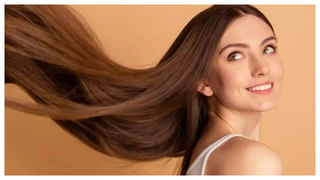 Guava Leaves: రోజూ పరగడుపునే ఈ ఆకు నమిలి తినండి.. శరీరంలో జరిగే అద్భుతమైన మార్పు తెలిస్తే అస్సలు వదిలిపెట్టరు..