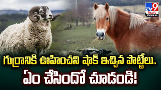 శుభవార్త.. లైట్ మోటార్ వాహనాలకు.. టోల్ ఫీజులు రద్దు