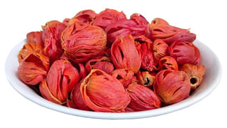 Health Benefits of Apricots : ఇదో అమృతఫలం..! ఆరోగ్య ప్రయోజనాలు తెలిస్తే అస్సలు వదిలిపెట్టరు..