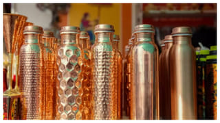 Air Purifying Plants: మీ ఇంట్లోని గాలిని శుద్ధి చేసే బెస్ట్ ఇండోర్ ప్లాంట్స్ ఇవే..