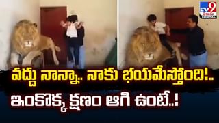 అర్ధరాత్రి నడిరోడ్డుపై వింత ఆకారం.. దగ్గరికి వెళ్లి చూడగా గుండె గుభేల్