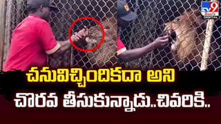 గార్డెన్‌లోకి దూసుకొచ్చిన పాము.. పరుగెత్తుకొచ్చిన శునకం.. ఏం చేసిందంటే ??