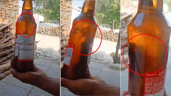 Viral Video: ఏంది సామీ చంపేస్తారా? చల్లగా బీరు తాగుదామని ఓపెన్ చేయబోతే.. మైండ్ బ్లాంక్ సీన్! వీడియో