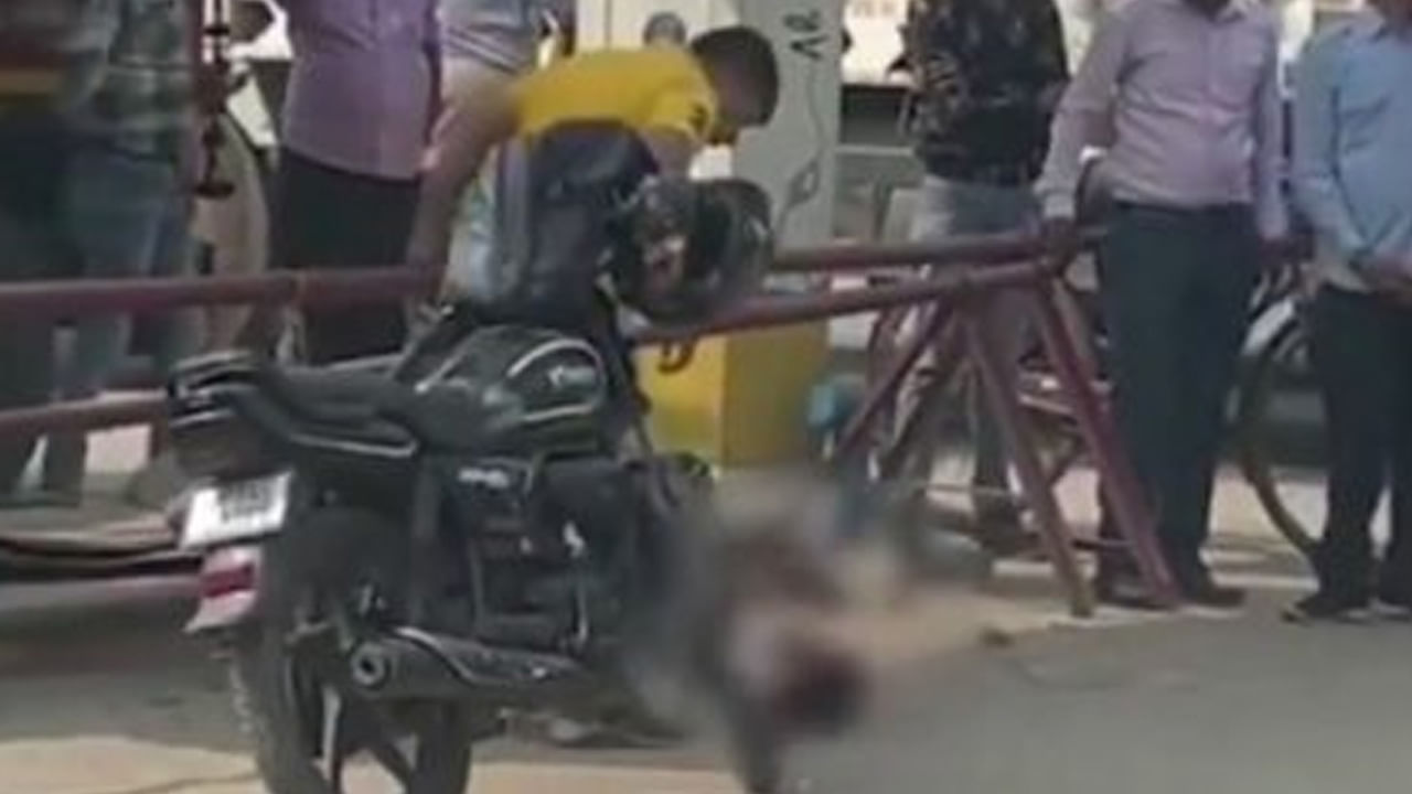 Watch: నడి రోడ్డుపై లవర్ని దారుణంగా కొడుతున్న యువకుడు.. స్థానికులు ఏం చేశారో తెలుసా..?