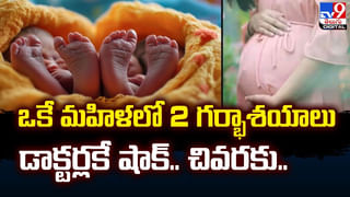 Viral Video: పీహెచ్‌డీ చేస్తూ చికెన్ పకోడీ అమ్ముతున్న యువకుడు.. ఆనంద్ మహీంద్రా ఫిదా..! ఏమన్నాడంటే..