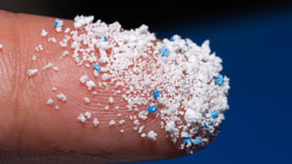 Navratri 2024: షుగర్ పేషెంట్స్ నవరాత్రుల్లో ఉపవాసం ఉంటున్నారా..! ఎలాంటి ఆహారం తీసుకోవాలంటే