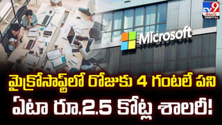 ఇదేం కోతిరా బాబూ !! దీని చేష్టలకు 5 గంటలు కరెంటు కట్