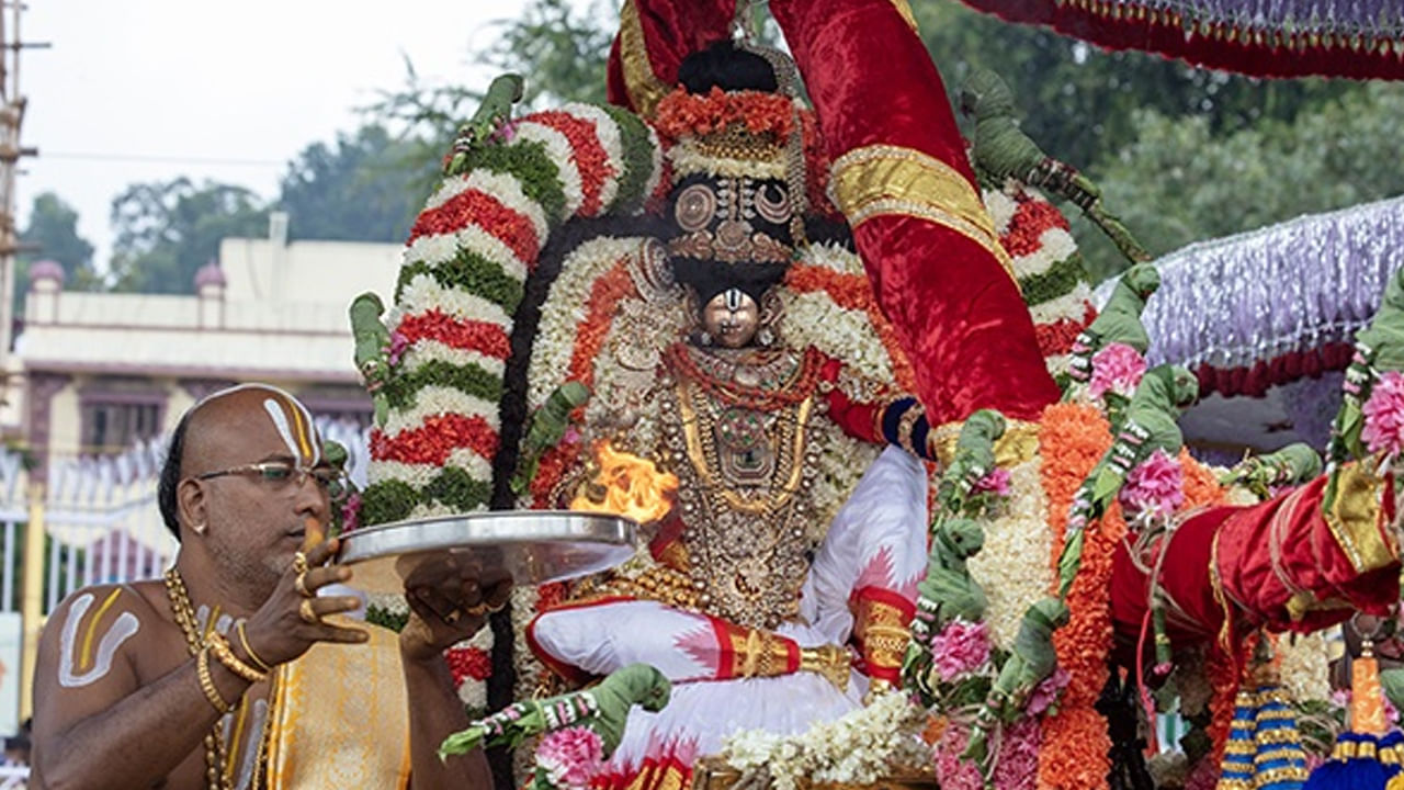  
శ్రీనివాసుడు విశ్వ సుందరి మోహిని రూపంలో శృంగార రసాధి దేవతగా సర్వాలంకార భూషితుడై దర్శనమిచ్చారు. మోహినీ అవతారం.. మాయా మోహ నాశ‌నం. ఈ అవతారం ద్వారా జగత్తు అంతా మాయామోహానికి లొంగివుందని, అదంతా తన లీలా విలాసమేనని, తన భక్తులు కానివారు ఈ జగన్మాయలోలులు కాక తప్పదని చాటి చెబుతున్నారని విశ్వాసం.  విశ్వమంతా తన మాయ సృష్టి అని భక్తులకు సందేశం ఇస్తుంది. ఈ మాయను అధిగమించాలంటే అందరూ ఆయనను ఆరాధించాలి.