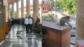 Viral News: మెట్రోలో యువతి డ్యాన్స్..పక్కనోళ్ల రియాక్షన్ హైలెట్ అసలు..