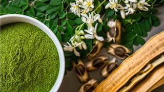 Dengue: డెంగ్యూ బారిన పడ్డవారు.. ఈ ఆహారానికి పూర్తిగా దూరంగా ఉండాలి..