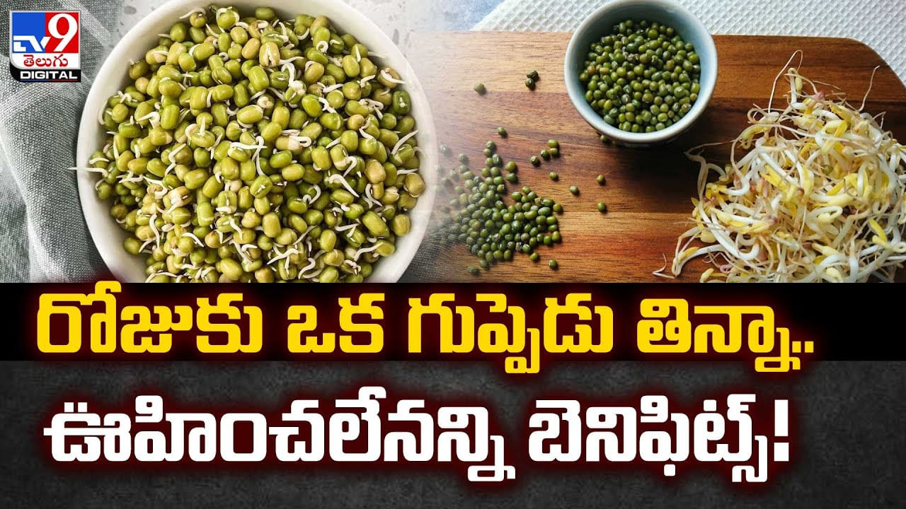 రోజుకు ఒక గుప్పెడు తిన్నా.. ఊహించలేనన్ని బెనిఫిట్స్ !! Telugu News