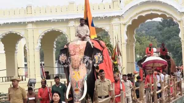 Mysore Dasara: మైసూర్లో అట్టహాసంగా దసరా సంబరాలు.. ప్యాలెస్లో ఆయుధ పూజ వేడుకలు