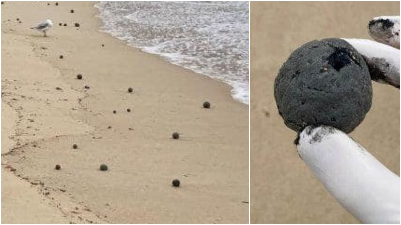 Mystery Black Balls: సముద్ర తీరానికి వేలాదిగా కొట్టుకొచ్చిన మిస్టరీ బాల్స్.. ఆరా తీయగా..