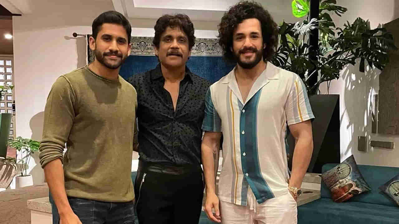 Nagarjuna: ఆ విషయంలో నేను సింహాన్నే.. అక్కినేని నాగార్జున సంచలన పోస్ట్.