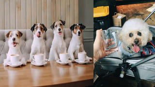 Viral News: అమ్మాయిలను ప్రెగ్నెంట్ చేస్తే రూ.5 లక్షలు.. చివరికి ఊహించని ట్విస్ట్.!