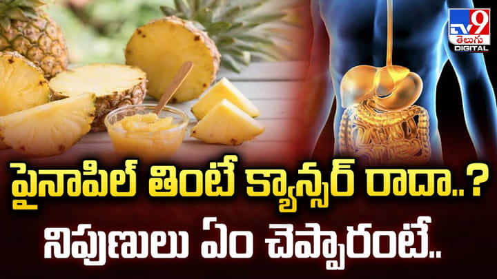 పైనాపిల్ తింటే క్యాన్సర్ రాదా ?? నిపుణులు ఏం చెప్పారంటే ?? పైనాపిల్ తింటే క్యాన్సర్ రాదా ?? నిపుణులు ఏం చెప్పారంటే ??