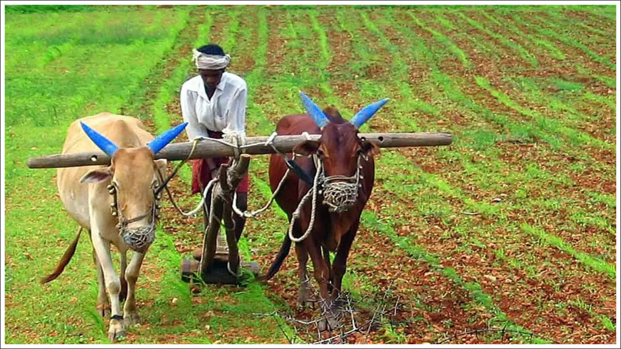 మీ బ్యాంక్ ఖాతా వివరాలు, ఆధార్ నంబర్ వంటి సమాచారం సరిగ్గా ఉందో లేదో తెలుసుకోండి. ఇందులో ఏదైనా పొరపాటు జరిగితే మీ ఖాతాలోకి రూ.2000 రాకపోవచ్చు. పీఎం కిసాన్‌ వెబ్‌సైట్‌లో వివరాలను ఓ సారి చెక్‌ చేసుకోండి.