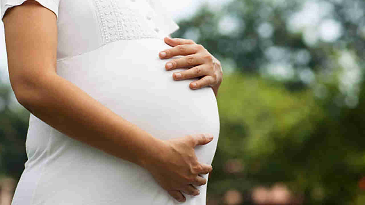 Pregnancy Complications: ఈ 4 వ్యాధులున్న స్త్రీలు పొరపాటున కూడా ప్రెగ్నెన్సీ ప్లాన్ చేసుకోకండి.. నిపుణుల సలహా ఏమిటంటే..