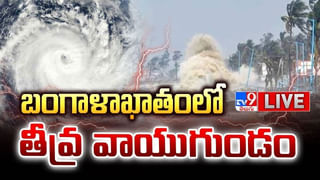 వామ్మో.. అదేమైనా గుర్రం అనుకున్నవా గురూ..! పులి మీద సవారీ చేసిన వ్యక్తి.. ఎలా మోసుకెళ్లిందో చూడండి.