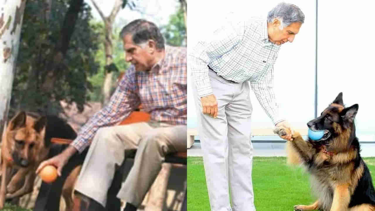 Ratan Tata: రతన్ టాటా వీలునామాలో ఆసక్తికర విషయాలు.. పెంపుడు శునకానికి ప్రత్యేక స్థానం