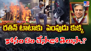 Ratan Tata: రతన్ టాటాను కదిలించిన ఘటన.. పెంపుడు జంతువుల కోసం రూ. 165 కోట్లు.!