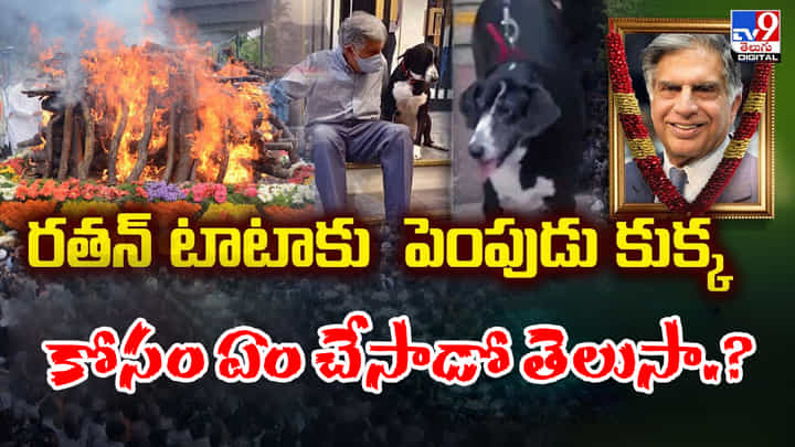 Ratan Tata: రతన్ టాటాను కదిలించిన ఘటన.. పెంపుడు జంతువుల కోసం రూ. 165 కోట్లు.! Ratan Tata: రతన్ టాటాను కదిలించిన ఘటన.. పెంపుడు జంతువుల కోసం రూ. 165 కోట్లు.!