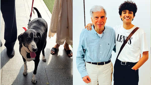 Ratan Tatas pet dog: రతన్టాటా కన్నుమూసిన 3 రోజులకే ఆయన పెట్ డాగ్ గోవా మృతి..! శంతను నాయుడు ఏం చెప్పాడంటే