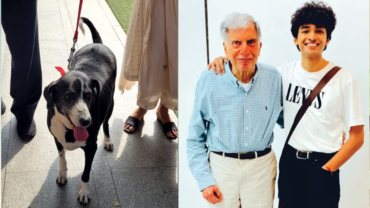 Ratan Tata's pet dog: రతన్‌టాటా కన్నుమూసిన 3 రోజులకే ఆయన పెట్ డాగ్ 'గోవా' మృతి..! శంతను నాయుడు ఏం చెప్పాడంటే