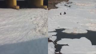 Viral News: ఛీ..ఛీ.. పనిమనిషి చేసిన పాడుపని..! ఇంటిల్లిపాదికి కాలేయ వ్యాధి.. సీసీ కెమెరాలో షాకింగ్‌ దృశ్యాలు..