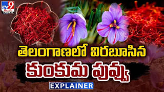 Watch: పెద్దపల్లి జిల్లాలో దొంగల ముఠా హల్‌చల్‌.. నాటుకోళ్లే టార్గెట్‌గా లూటీలు.. బోరుమంటున్న బాధితులు..