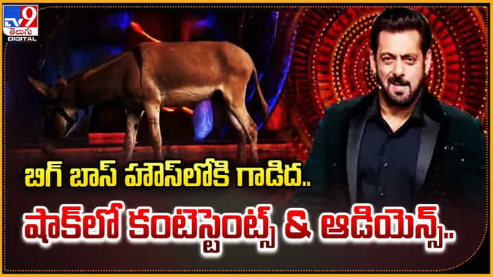 బిగ్ బాస్ హౌస్లోకి గాడిద.. షాక్లో కంటెస్టెంట్స్ & ఆడియెన్స్.. బిగ్ బాస్ హౌస్లోకి గాడిద.. షాక్లో కంటెస్టెంట్స్ & ఆడియెన్స్..
