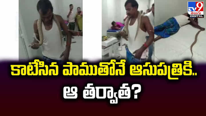 కాటేసిన పాముతోనే ఆసుపత్రికి.. ఆ తర్వాత ?? కాటేసిన పాముతోనే ఆసుపత్రికి.. ఆ తర్వాత ??