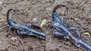 Watch Video: వీధిలో నడుస్తున్న మహిళపై హఠాత్తుగా పడిన వాటర్‌ ట్యాంక్.. వీడియో వైరల్