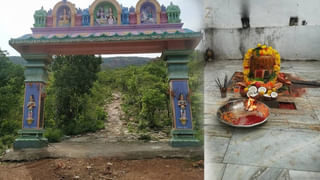 Devotional: పచ్చ కర్పూరంతో ఇలా చేశారంటే.. లక్ష్మీ ఎల్లప్పుడూ మీ వెంటే!