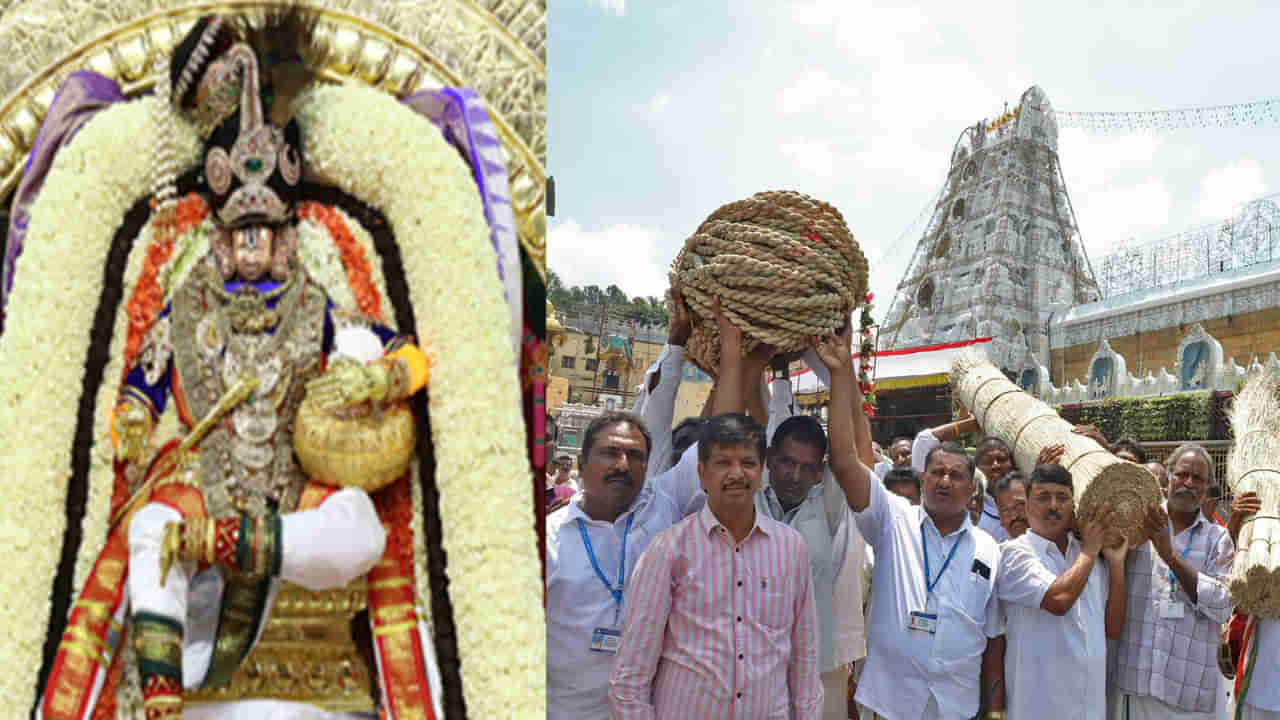 Tirumala: అక్టోబర్ 3న శ్రీవారి బ్రహ్మోత్సవ అంకురార్పణం.. దర్భ చాప, తాడు ఊరేగింపు