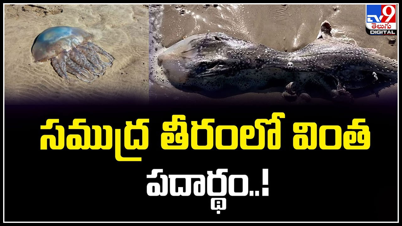 Strange substance: సముద్ర తీరంలో వింత పదార్థం.! మిస్టరీగా మారిన పిండిముద్ద ఆకారం..