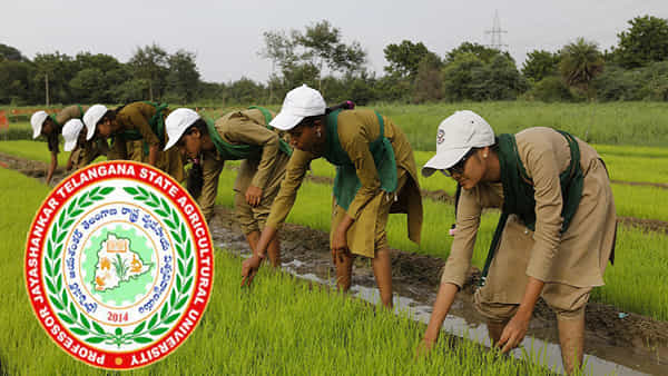 Telangana Agriculture University: జయశంకర్ అగ్రికల్చర్ వర్సిటీలో 465 సెల్ఫ్ ఫైనాన్స్ సీట్ల భర్తీకి దరఖాస్తులు ఆహ్వానం