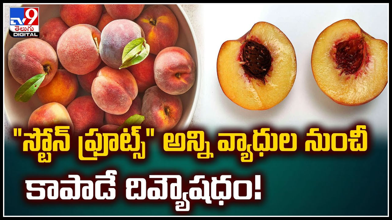 Stone Fruits: 'స్టోన్ ఫ్రూట్స్' అన్ని వ్యాధుల నుంచీ కాపాడే దివ్యౌషధం.! శరీరానికి ఎంతో మేలు