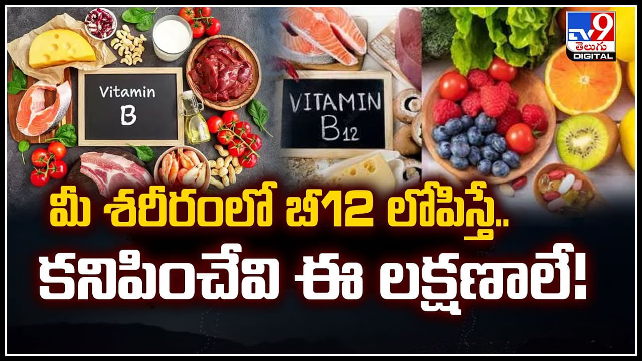 Vitamin B12: మీ శరీరంలో బీ12 లోపిస్తే.. కనిపించేవి ఈ లక్షణాలే.!