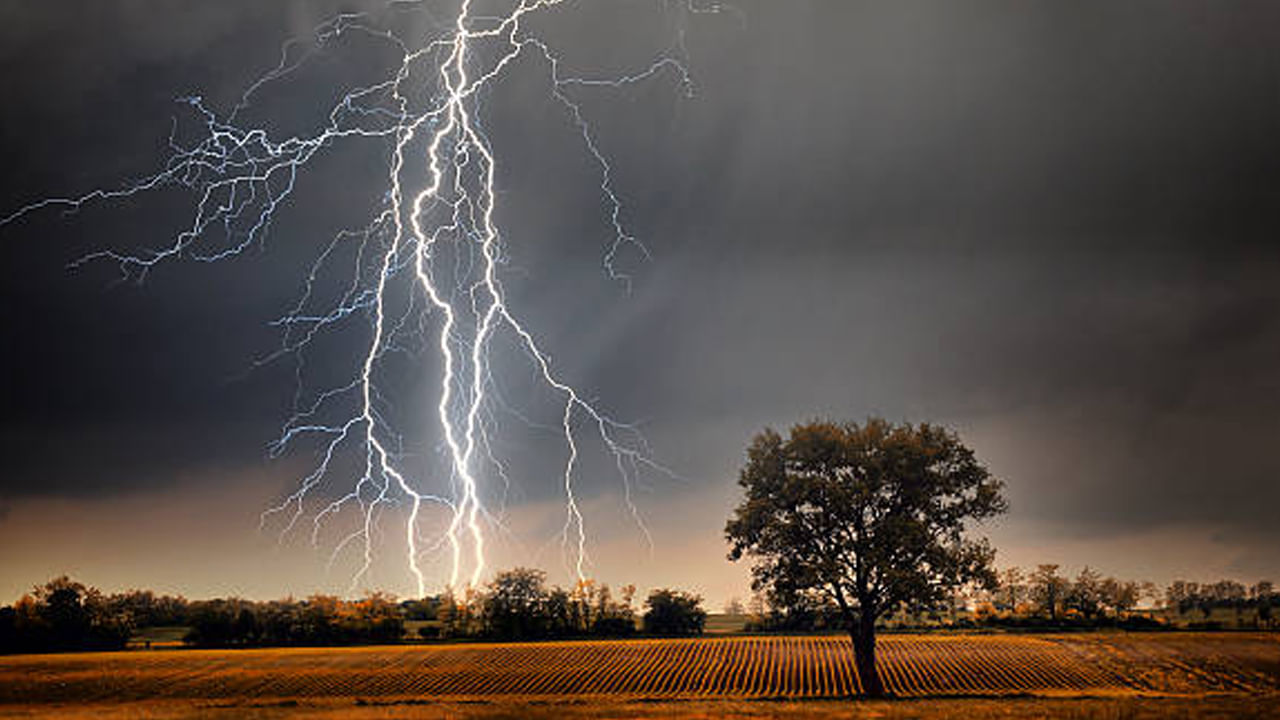 Thunder Bolt: వాన పడ్తోందని చెట్టుకిందకు వెళ్తే..ఇక అంతే సంగతులు!