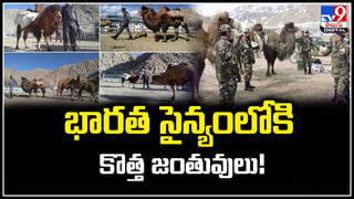 Watch: మరీ ఇంత దారుణమా.! అత్తా కోడళ్లపై గ్యాంగ్‌రేప్‌.. సీఎం చంద్రబాబు సీరియస్.